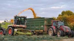Watch out for Donegal's Wild Atlantic Hay !

