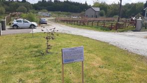 New houses planned for busy Donegal town