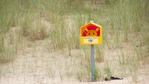 POLL: Staycation or foreign travel - What holiday plans do the people of Donegal have for 2021?