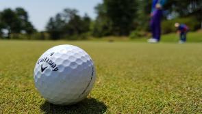 Donegal man who was hit on head with golf ball loses high court action 