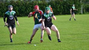 Wins for Setanta and MacCumhaill's as Senior Hurling League opens as St Eunan's and Burt share spoils