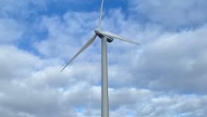 Donegal Island Seafoods leads the way in green energy and reels in new contract with Aldi 