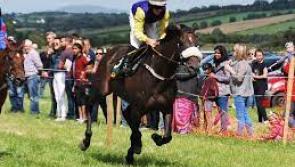 Big horse racing meeting  in Donegal next Sunday