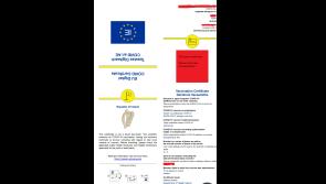EU Digital Covid Certificate third Country portal extended to  Britain