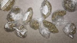 Donegal gardaí seize €6,000 worth of cannabis


