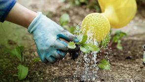 Appeal to customers to conserve water 

