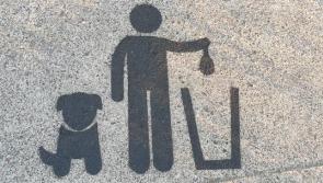 Donegal councillor says numerous complaints were received about dog poo on popular walking route