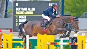 All eyes will on Donegal horse as Olympic showjumping gets underway