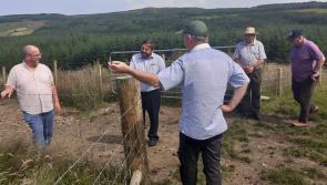 MEP hails sustainable Donegal uplands farming project