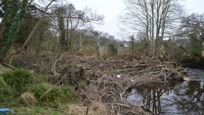 Volunteers sought to help clean up a Donegal river