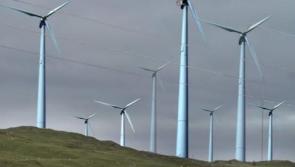 Permission for west Donegal wind farm refused over concerns about impact on wildlife
