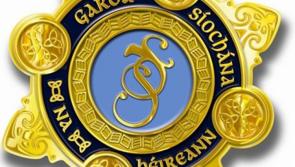 Man arrested as gardai seize over €55,000 worth of cannabis in grow house raid