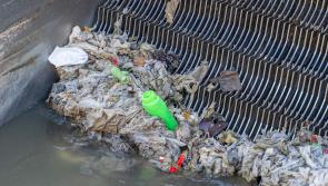 Donegal urged to 'Think Before You Flush'