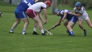 Donegal Junior Hurling Championship wrap