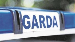 Gardaí seek four males who they suspect stole boxes of alcohol, confectionary and toilet roll