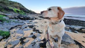 Last few days to enter photo competition showcasing a beautiful part of the Donegal coast