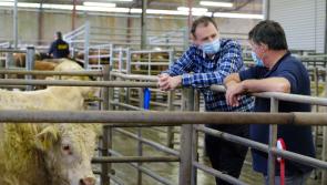 Agricultural shows set to benefit from a new class in the years ahead