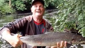 Fall in number of catches as anglers report 'poor' season on Crana