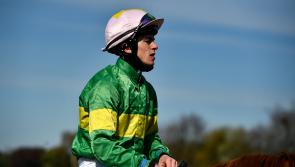 Luke McAteer lands 14/1 winner at Navan