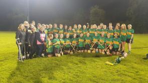 Markievicz camogs look to cap a dream debut year in county final