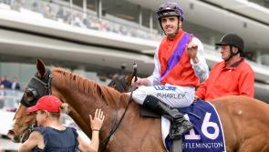 Nottingham double for Martin Harley on good week for Donegal jockeys