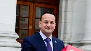 Fine Gael support continues to fall, according to latest poll