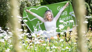 Three Donegal winners in Green Flag Awards