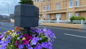 Some excellent Donegal results in this year's Tidy Towns 