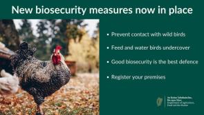 Enhanced biosecurity measures introduced against Avian Flu
