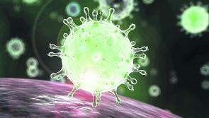 Donegal had 10% of all Covid-19 linked deaths in November 