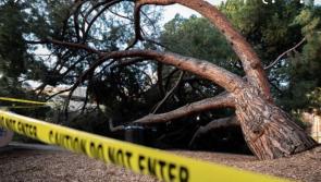 Hundreds hit by power cuts as strong winds hammer Donegal