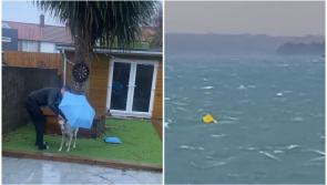 'Swimming wheelie bins' - Irish people are not disappointing with Twitter reactions to Storm Barra