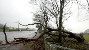 Storm Dudley to bring 130km/h winds to Donegal