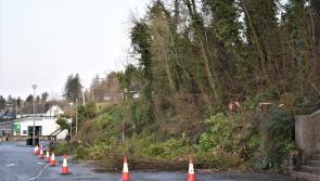 Trees being felled as precaution after Storm Barra led to 55 trees blocking roads in one Donegal MD