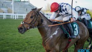 Galvin gallops to victory in Savills Chase at Leopardstown 