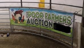 Donegal auction raises over €33,000 for varous charities