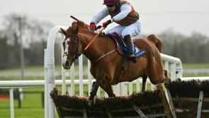 Conor Orr shows no Rust with 25/1 winner