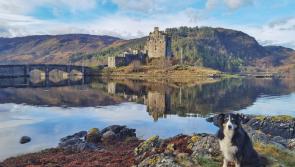 Iggy makes her way to Glasgow from the Isle of Skye