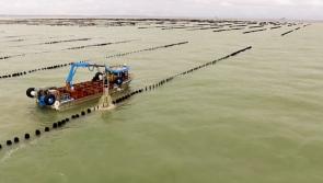 Donegal’s seafood sector callout! Fancy being a technology pilot? 
