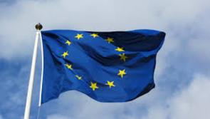 EU crisis funding for Ireland falls short - MEP claims
