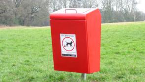 We need to talk about poo in all its gory detail- Donegal councillor's views on  tackling dog foul
