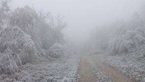 Weather: Freezing fog alert issued and second weather warning extended