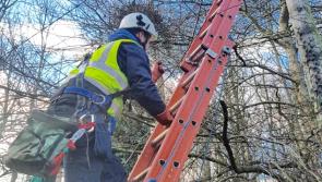 Work underway to restore power to homes in wake of Storm Arwen

