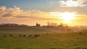 Donegal enjoys driest February since records began