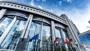 17 candidates contesting Midlands-North-West constituency in the European election 
