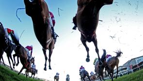 Amazing day as three Donegal jockeys win at Leopardstown