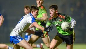 LYIT's Sigerson Cup clash with UL to be streamed live from the Air Dome