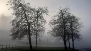 Freezing fog and icy roads in Donegal - but what's in store for the week ahead?