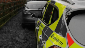 Motorist who produced suspected false license to face court