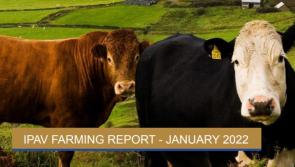 Land prices rising in Donegal, according to IPAV Farming Report 2021 




